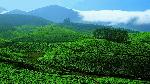1467694101_2Munnar 3.jpeg